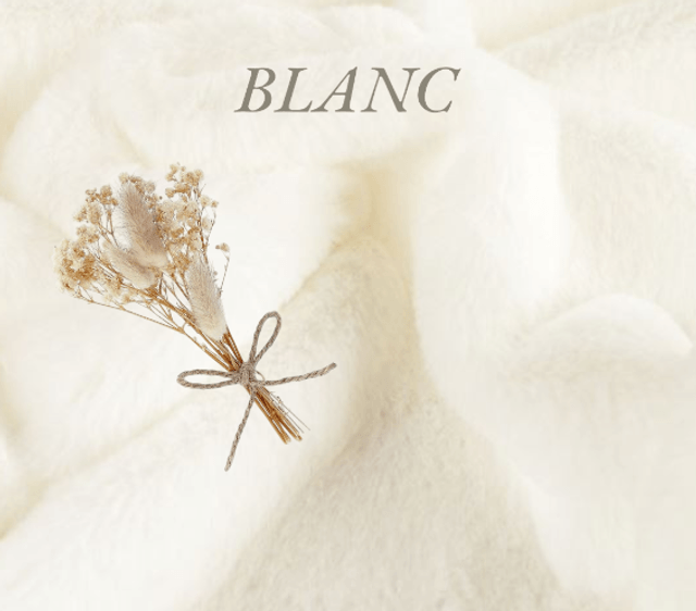 Commande mini chat fourrure blancpour Fanny "Terminer"