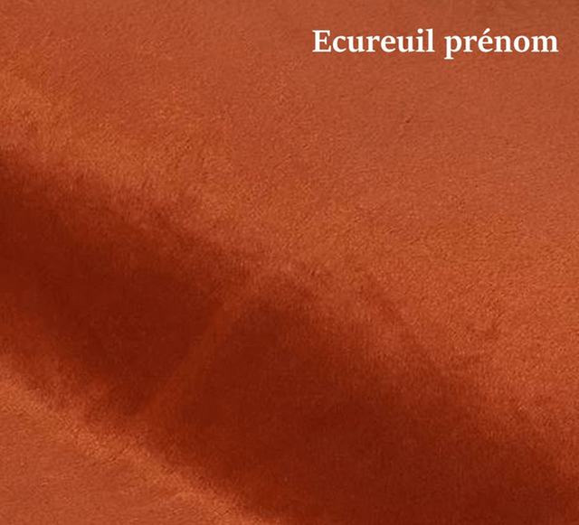 Ecureuil 