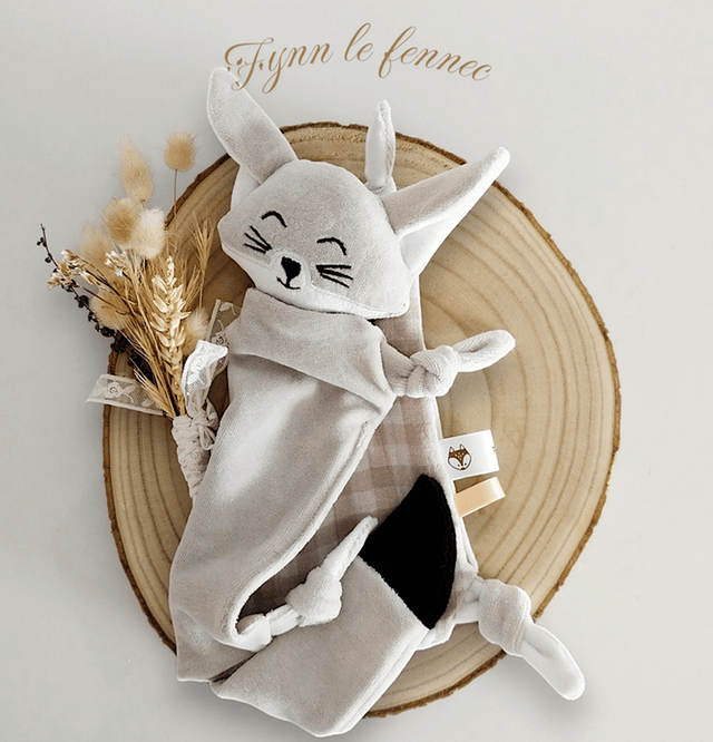 Commande fennecs sans queue pour Delphine