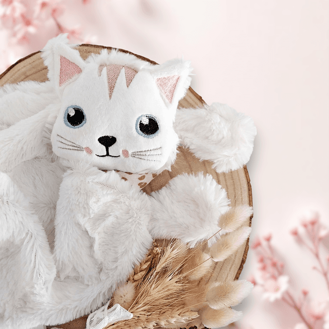Chaton fourrure et double gaze